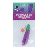 Setty USB-Stik 8 GB - Aubergine