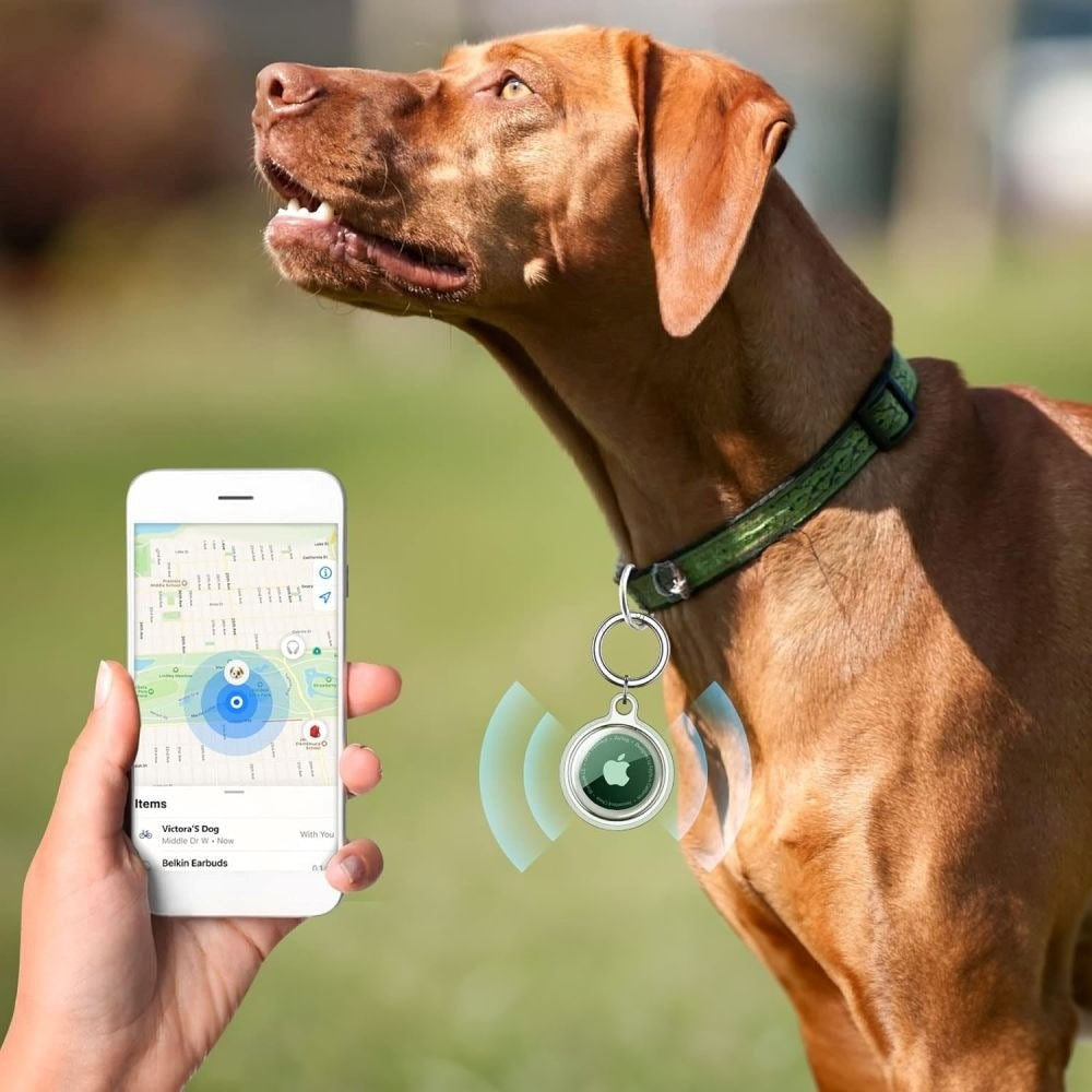 Apple AirTag Tech-Protect Icon Cover m. Karabinhage - 4 stk. - Gennemsigtig