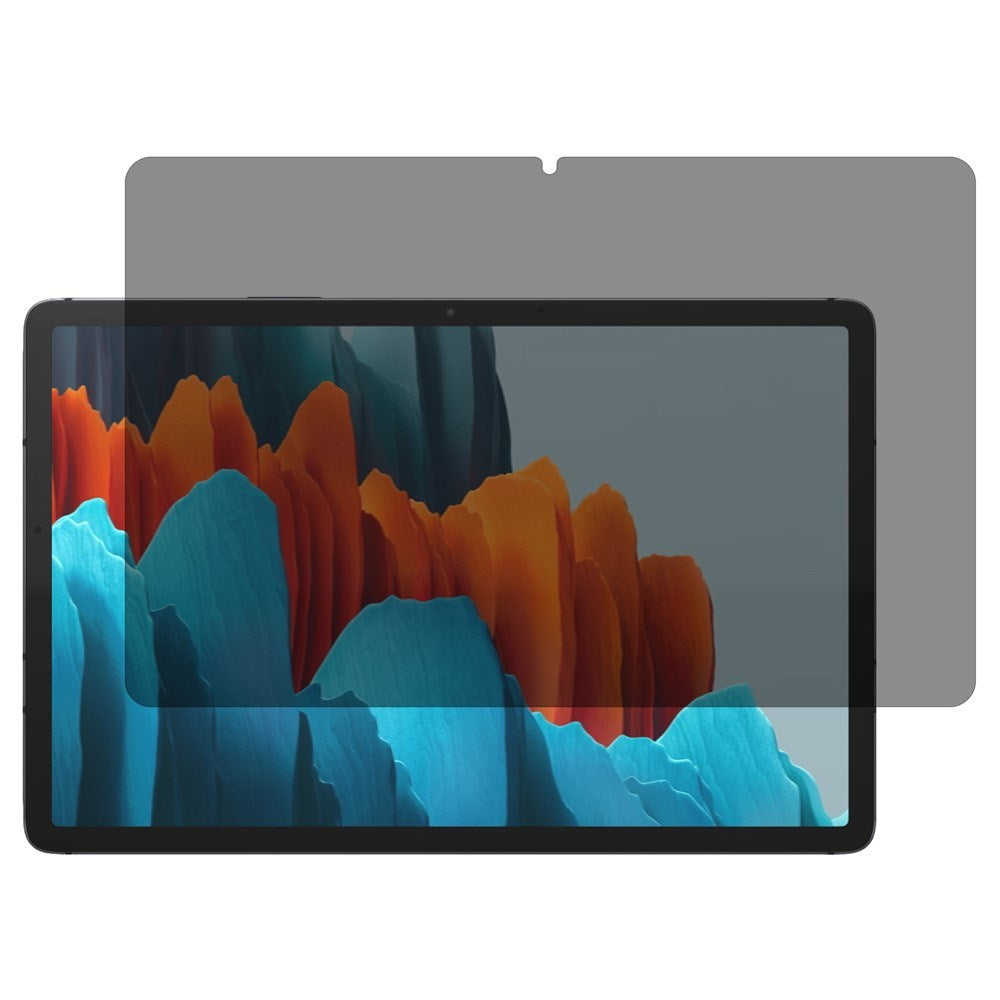 Samsung Galaxy Tab S11 / S10 Lite / S10 FE / S9 FE / S9 / S8 / S7 Hærdet Skærmbeskyttelsesglas m. Privacy - Gennemsigtig