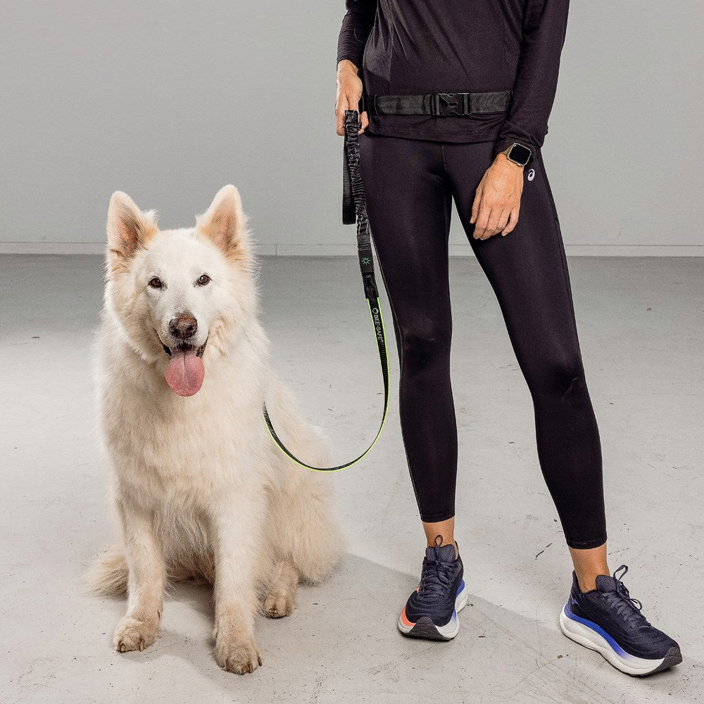 Bee-Safe - Hundesnor til Løb m. LED - Sort