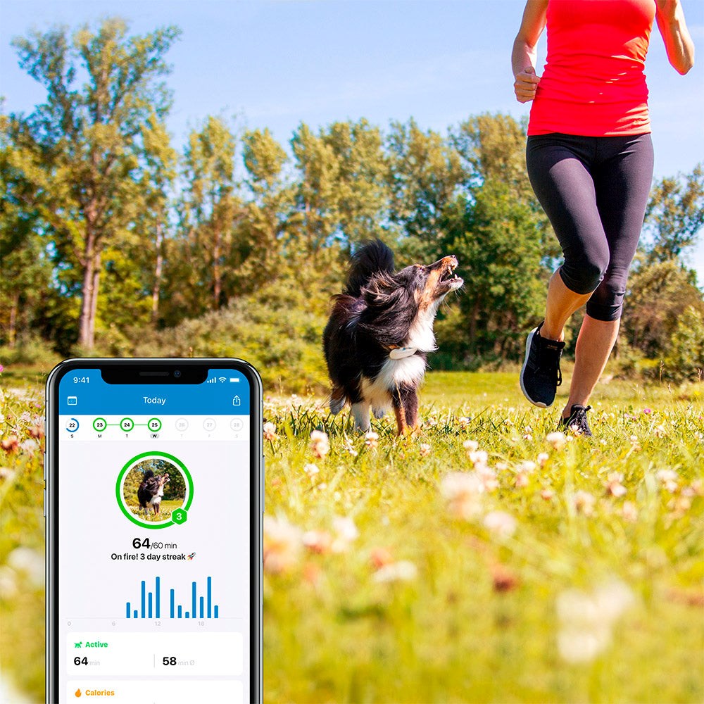 Tractive GPS Dog LTE - Tracker til Hund - Hvid