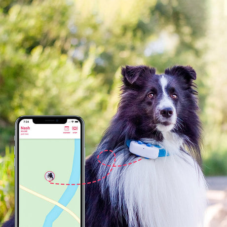 Tractive GPS Dog LTE - Tracker til Hund - Hvid