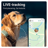 Tractive GPS Dog XL - Tracker til Hund - Grøn