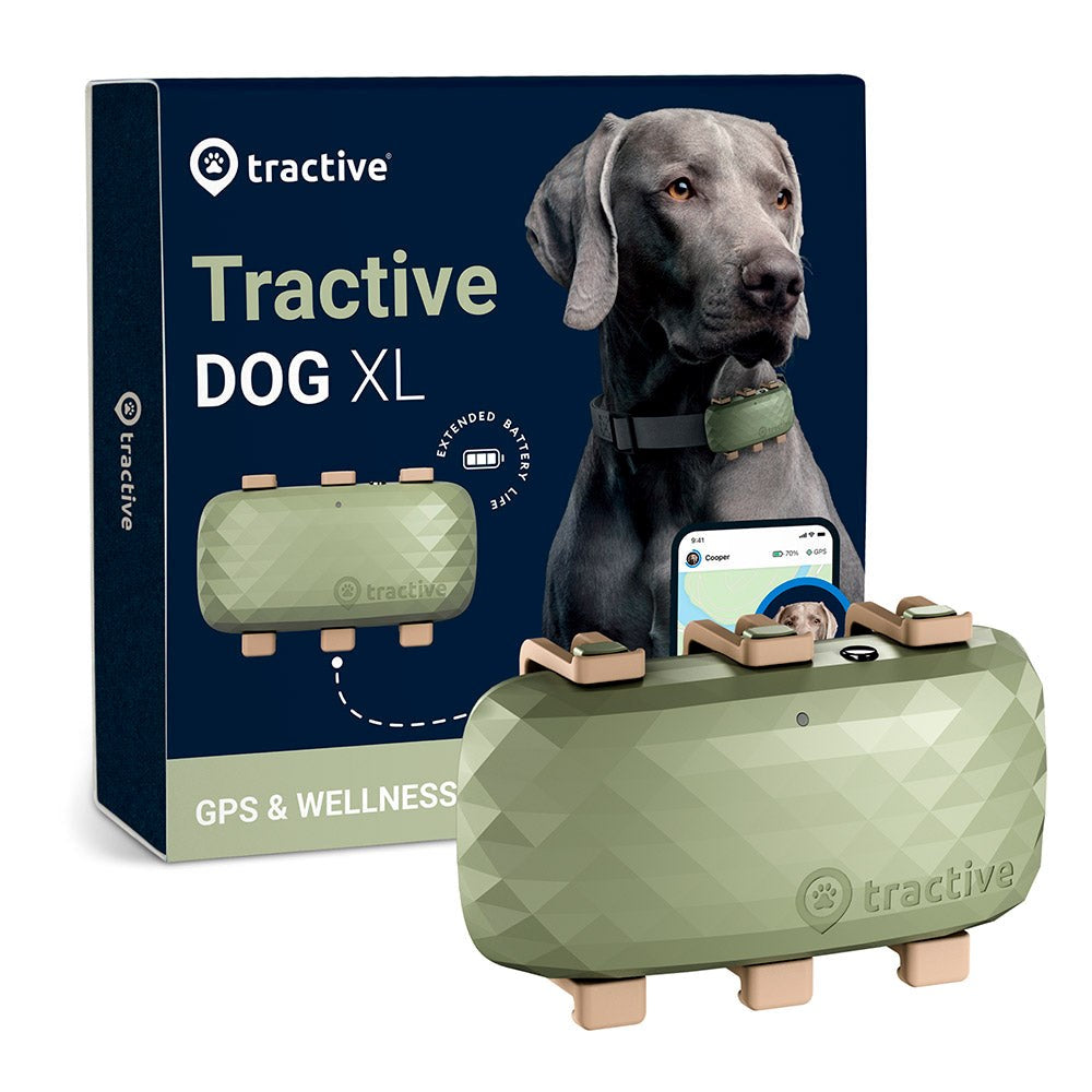 Tractive GPS Dog XL - Tracker til Hund - Grøn