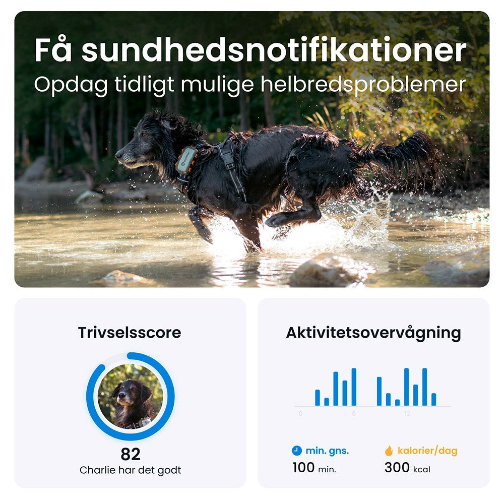 Tractive GPS Dog XL - Tracker til Hund - Adventure Edition - Grå