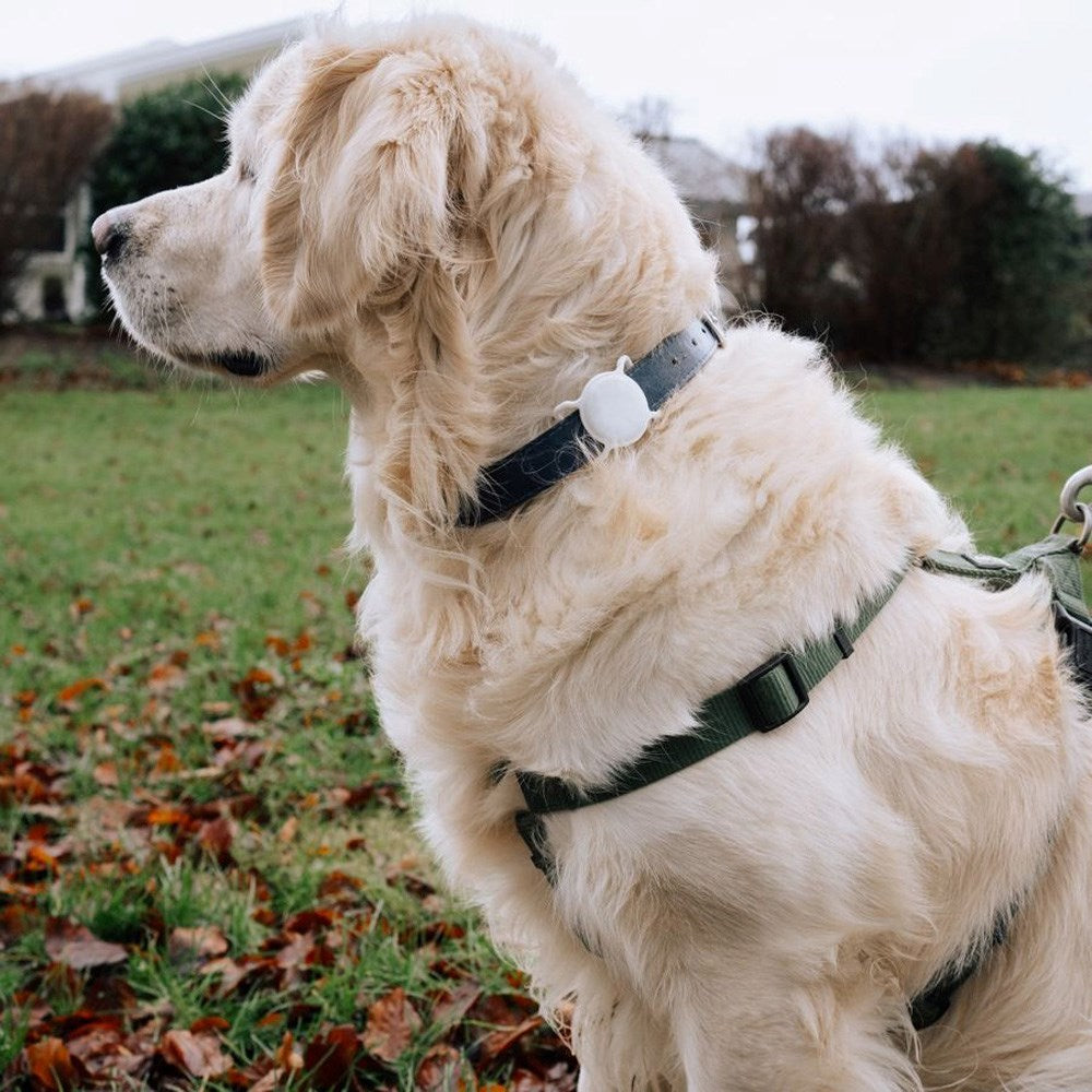 Silikone AirTag Holder til Halsbånd - Hvid