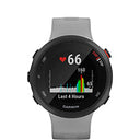 Garmin Forerunner 45 Plus