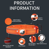 Hundehalsbånd med AirTag Holder - Str. L (43-50 cm) - Lilla