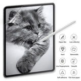 iPad Pro 11" (2025 - 2018) PET Beskyttelsesfilm m. Privacy & Papir Tekstur - Gennemsigtig