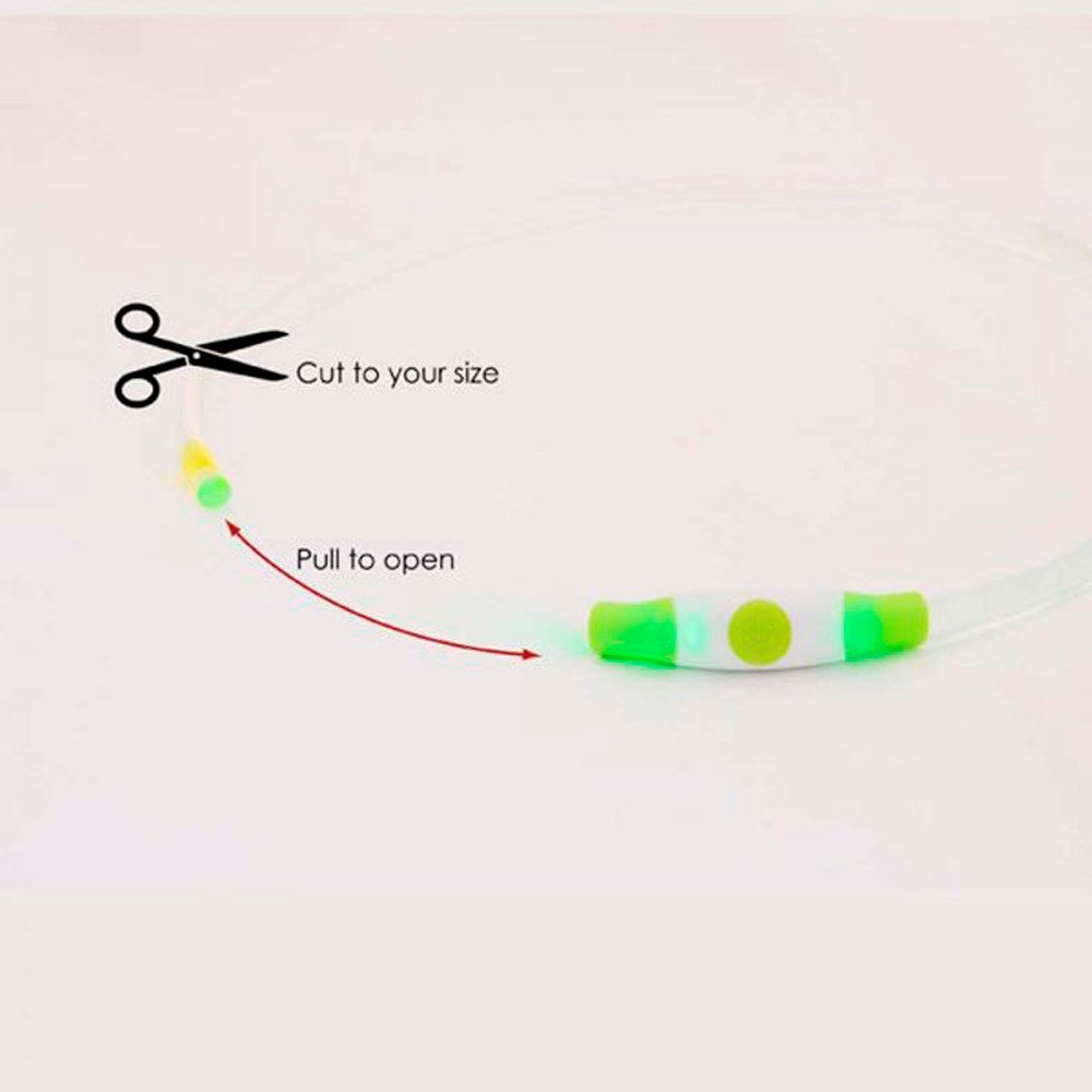 Bee-Safe LED Halsbånd til Hund - Blå